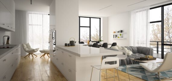 Apartments/Flats