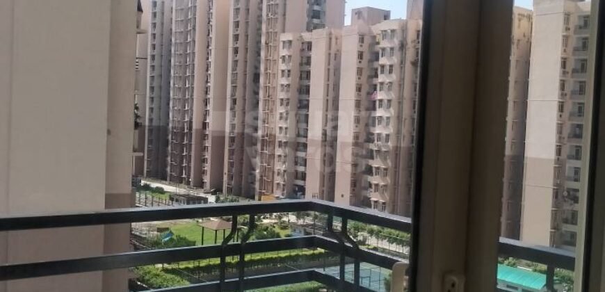 Private Room for Girls Paying Guest in 1 BHK Studio Apartment in DLF Belvedere Towers,