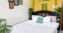 Private Room for Girls Paying Guest in 1 BHK Studio Apartment in DLF Belvedere Towers,