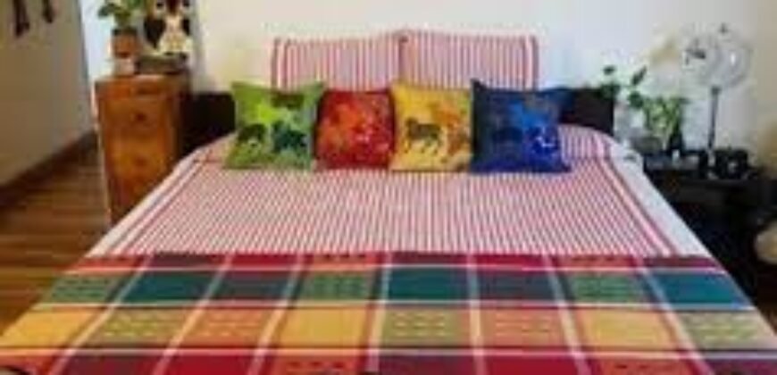 Private Room for Girls Paying Guest in 1 BHK Studio Apartment in DLF Belvedere Towers,