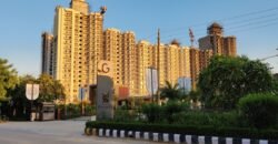Gulshan Dynasty