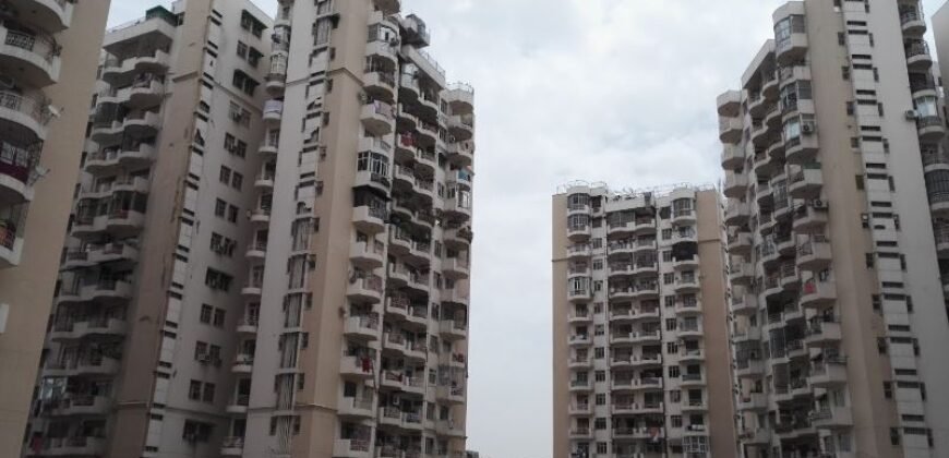 Private Room for Girls Paying Guest in 1 BHK Studio Apartment in DLF Belvedere Towers,